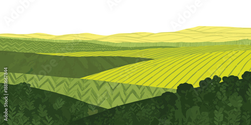 Lush green and golden fields stretch across undulating hills under a bright sky