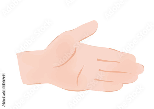 手のひらをこちらに向けた左手の線なしイラスト