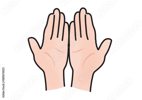 大人の両手のひらのイラスト
