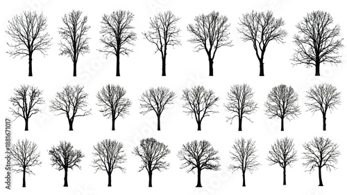 Collection of bare trees in various shapes and sizes, vector illustration
