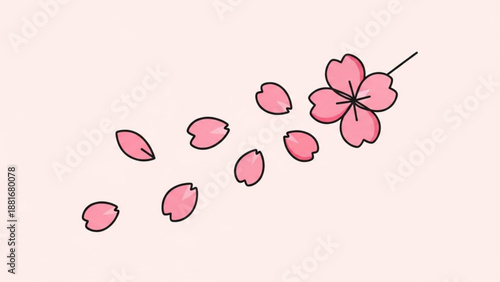 Pink cherry blossom petals falling on soft background symbolizing spring and nature's beauty