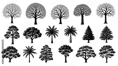 Diverse Collection of Stylized Tree Illustrations in Black and White