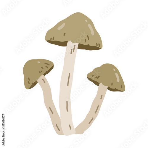 Brown wild mushrooms isolated on a white background. Vector hand-drawn illustration in flat style. Perfect for decorations, logo, autumn and forest themes, various designs.