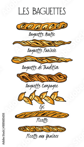 Vector visual guide with hand drawn French baguettes varieties. Ink drawing, graphic style. Beautiful design elements.
