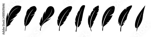 Set of various silhouette feathers in black color