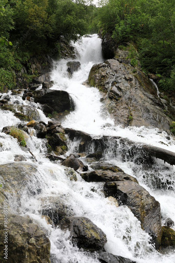 Fototapeta premium Chuchkhur waterfall flowing over rocks and fallen tree in Teberda Nature Reserve