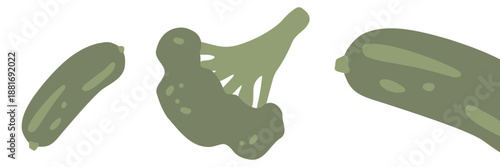 Art & Illustration Fresh cucumber and broccoli, vector illustration, healthy organic vegetables for banners and web design