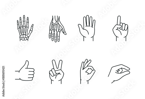 Minimal line art set of hand gestures and anatomy icons including skeletal hand, open palm, pointing finger, thumbs up, peace sign, and OK sign