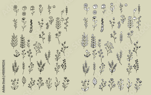 素朴な手描きの植物のパーツセット。