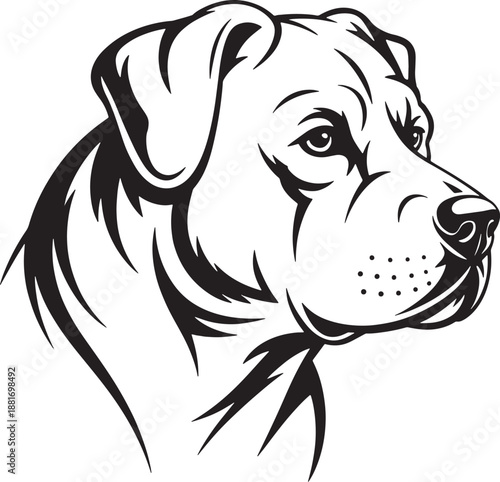 Black and white of a dog's head in profile canine animal