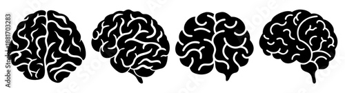 Four black and white illustrations of human brains side by side on a white background