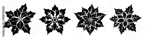 Collection of four symmetrical black snowflakes on white background