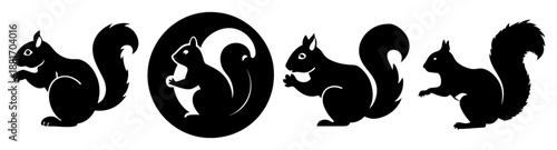 Silhouette of five squirrels in a row on a white background