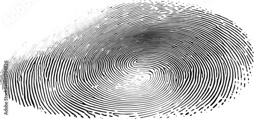 Fingerprint Patterns Close-Up Vector Illustration
Detailed biometric swirl lines showing unique identity texture.