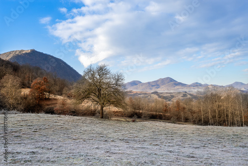 Winter landscape with snow covered trees and mountains in the background.