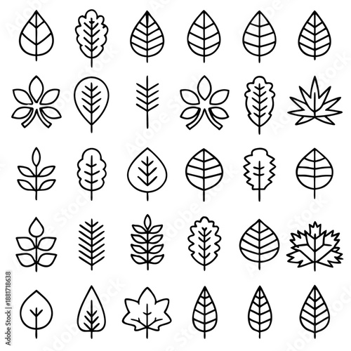 This image features a variety of hand-drawn leaf illustrations, each with unique shapes and vein patterns. The leaves are arranged in a grid format, showcasing different types of foliage.
