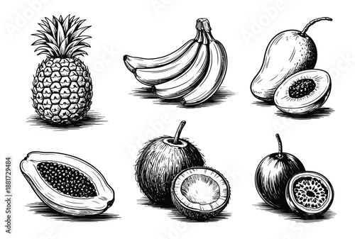 hand drawn tropical fruits set with pineapple, banana, mango, papaya, coconut, passion fruit, exotic food, botanical illustration, sketch style design.