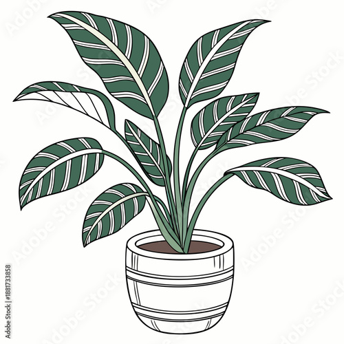 Potted Indoor Houseplant Vector Illustration
