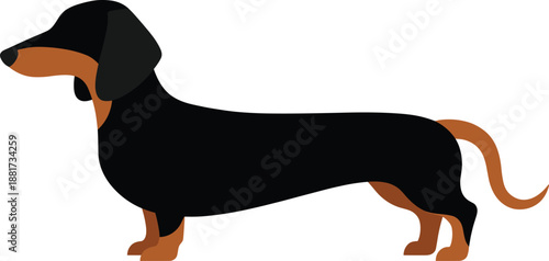 Playful cartoon dachshund dog illustration in black and brown colors, isolated on white background, perfect for pet-themed designs, branding, merchandise, and creative projects