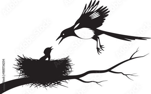 Mother bird silhouette feeding hungry chick in nest on branch vector on transparent background