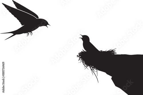 Swallow feeding chick on cliff ledge silhouette, animal life, nature scene vector illustration