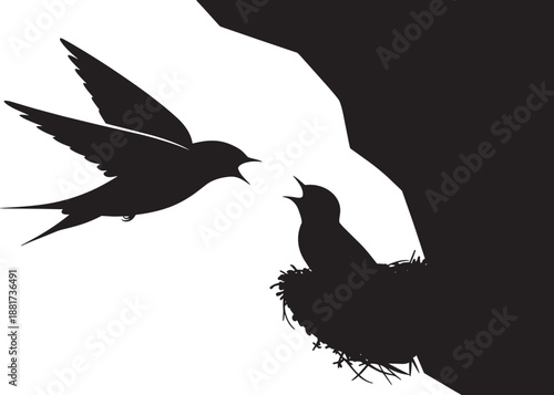 Swallow feeding chick on cliff ledge silhouette, animal life, nature scene vector illustration