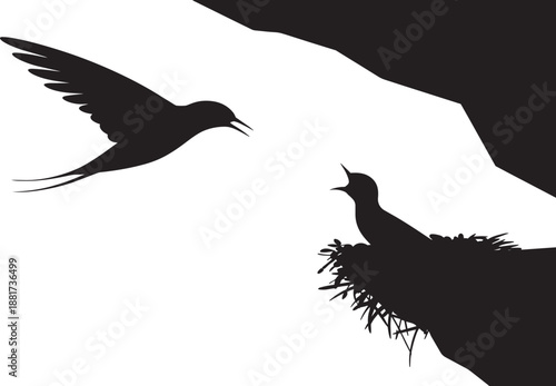 Swallow feeding chick on cliff ledge silhouette, animal life, nature scene vector illustration