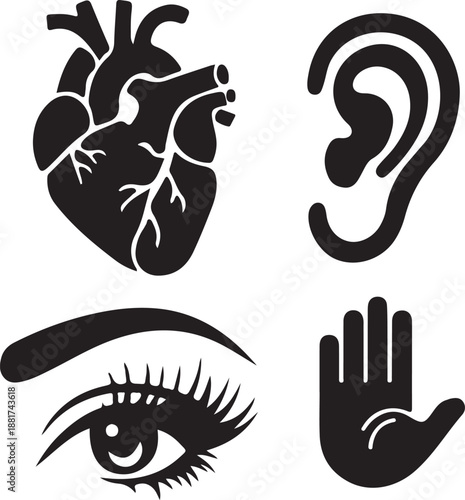 Print Human Senses and Anatomy Icon Set - Heart, Ear, Eye, and Hand Silhouette