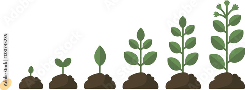 Cartoon plant growth stages icon set with seed, sprout, leafy stem, and mature flowering plant emerging from soil.