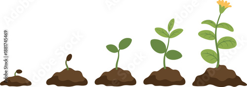 Cartoon plant growth stages icon set with seed, sprout, seedling, leafy plant, and blooming flower in soil.