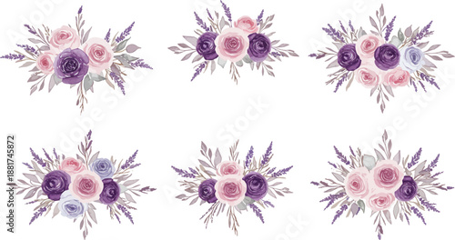 Microscopic view of six similar cells with spiky exterior and purple centers