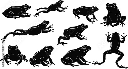 Black frog silhouette collection on white background, jumping and sitting toad vector illustration set, amphibian nature animal icons for biology educational design projects,