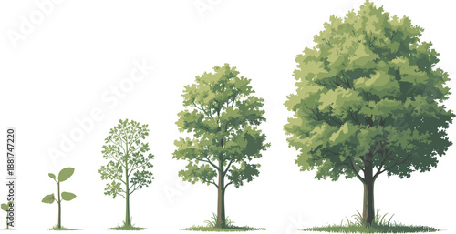 Cartoon tree growth stages icon set with sprout, leafy seedling, juvenile tree, mature tree, and full canopy foliage.