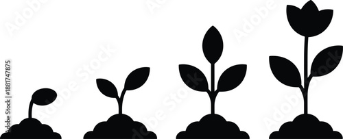 Plant growth stages silhouette illustration showing seedling, sprout, sapling, and flowering plant development lifecycle for nature and gardening education