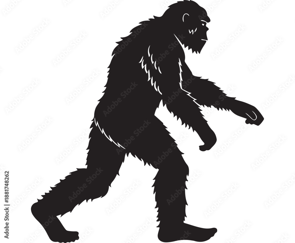 Fototapeta premium Bigfoot Silhouette Walking