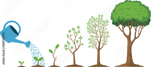Tree growth stages illustration showing watering, seedling, sapling, young tree, and mature tree development lifecycle for gardening education