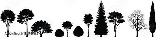 Big collection of black tree silhouettes set isolated on white background containing deciduous coniferous and leafless plants for nature landscape design
