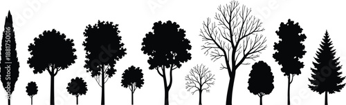 Large collection of black tree silhouettes set isolated on white background including pine cypress and deciduous plants for nature design
