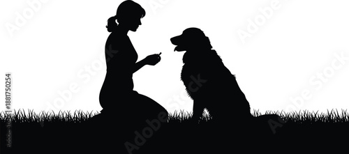 Silhouette of person training dog in grassy outdoor setting, showing companionship, obedience, and interaction for pet care and lifestyle visuals