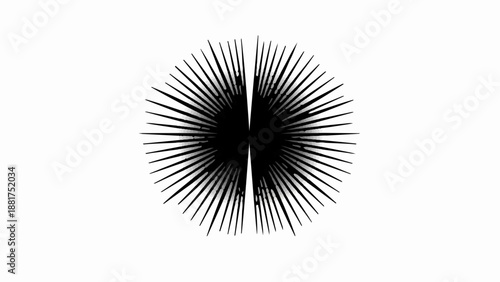 Abstract radial burst of thin black lines on a white background