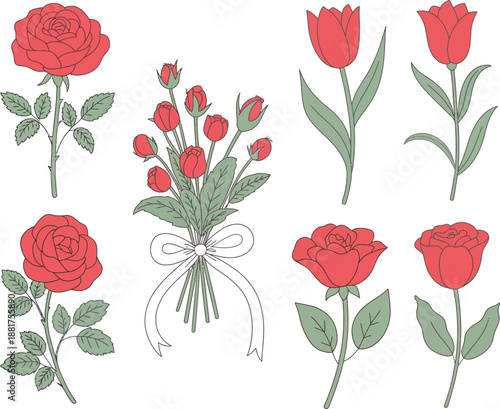 Collection of vibrant red roses and tulips, artfully arranged and presented as individual blooms and a charming bouquet, perfect for expressing love and admiration