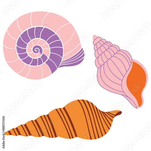 Decorative Seashell Collection in Flat Vector Style