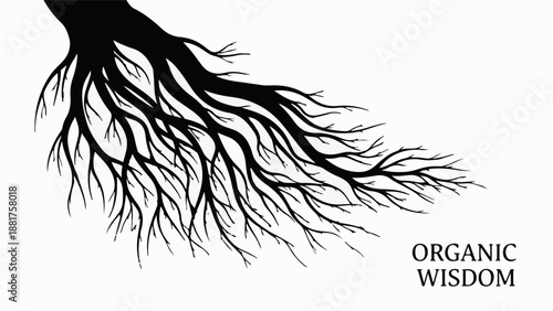 Intricate tree roots reaching outwards, symbolizing growth and connection