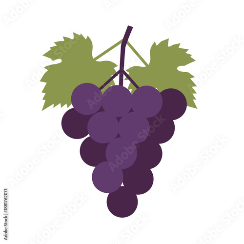 Bunch of Purple Grapes with Leaves.