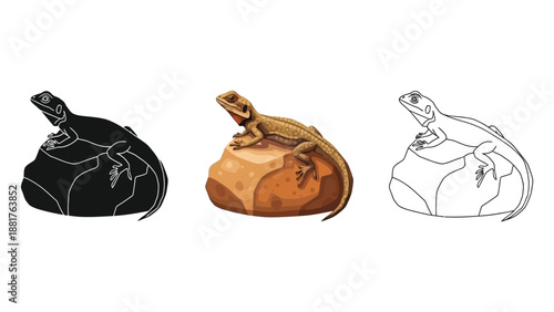 Bearded dragon lizard on rock, black silhouette, color, and outline