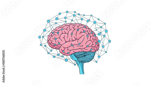 A 3d medical illustration of a human brain isolated on white representing neurology science and the cerebral organ of intelligence