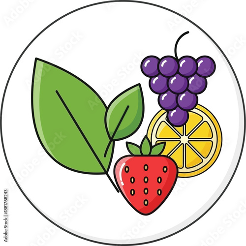 Set of Kitchen Whisks in Different Sizes Vector Graphic