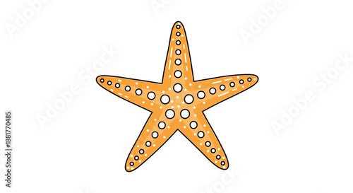 Vibrant orange starfish illustration featuring white spots and a detailed texture typical of marine life from a tropical ocean reef.