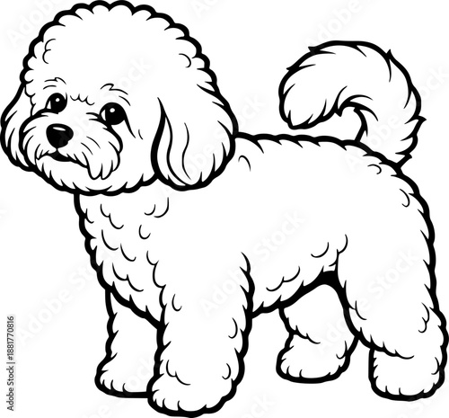 Bichon Frise dog breed with fluffy curly hair in standing pose for pet companion and domestic animal concept – Black and White Vector Illustration
