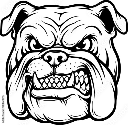 Angry bulldog dog with fierce expression and muscular build for tough sports mascot and animal power concept – Black and White Vector Illustration